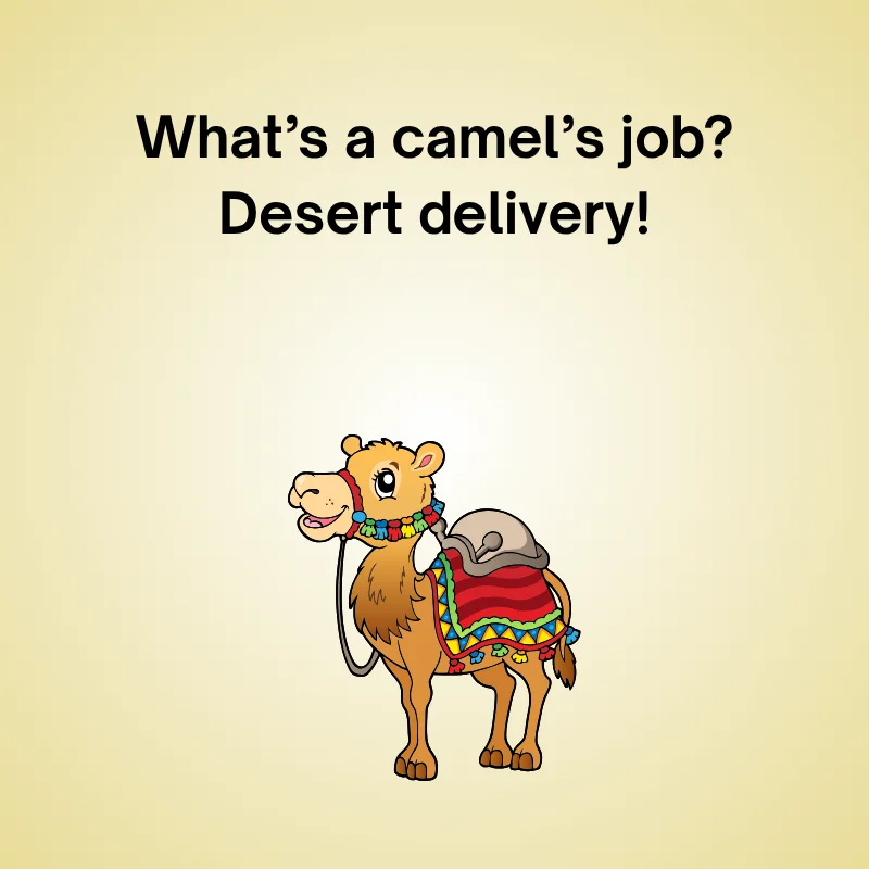 Funny camel joke illustration: 'What’s a camel’s job? Desert delivery!'