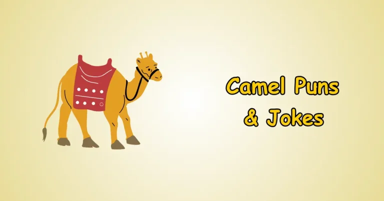 Camel Puns and Jokes