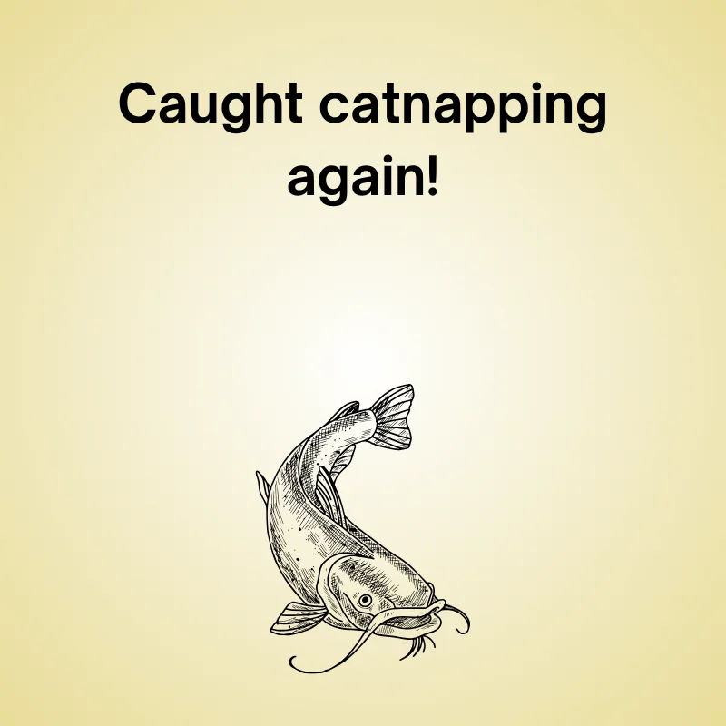 Catfish in a funny joke: 'Caught catnapping again!'