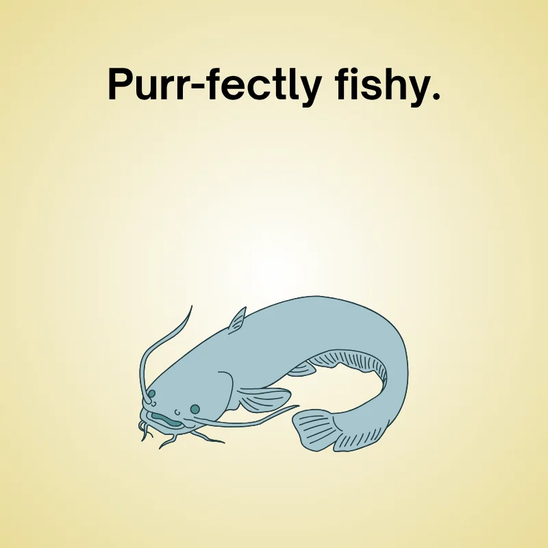 Illustration of catfish with caption: 'Purr-fectly fishy.'