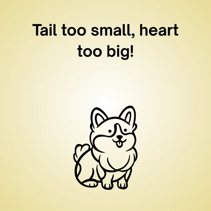 Corgi joke illustration: 'Tail too small, heart too big.'