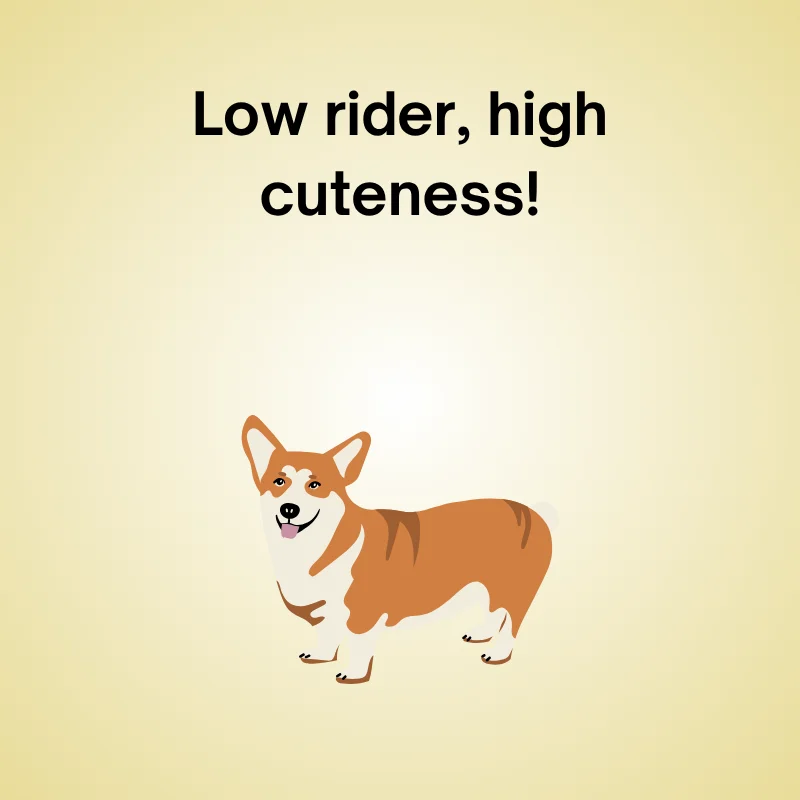Corgi pun illustration: 'Low rider, high cuteness.'