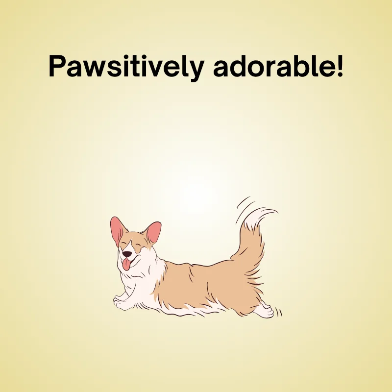 Illustration of corgi with caption: 'Pawsitively adorable.'
