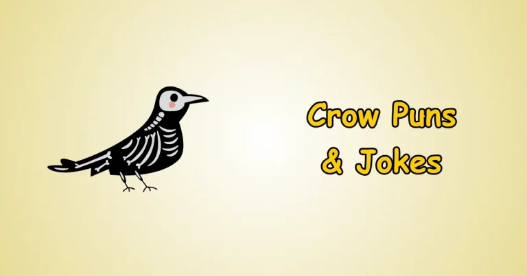 Crow Puns and Jokes