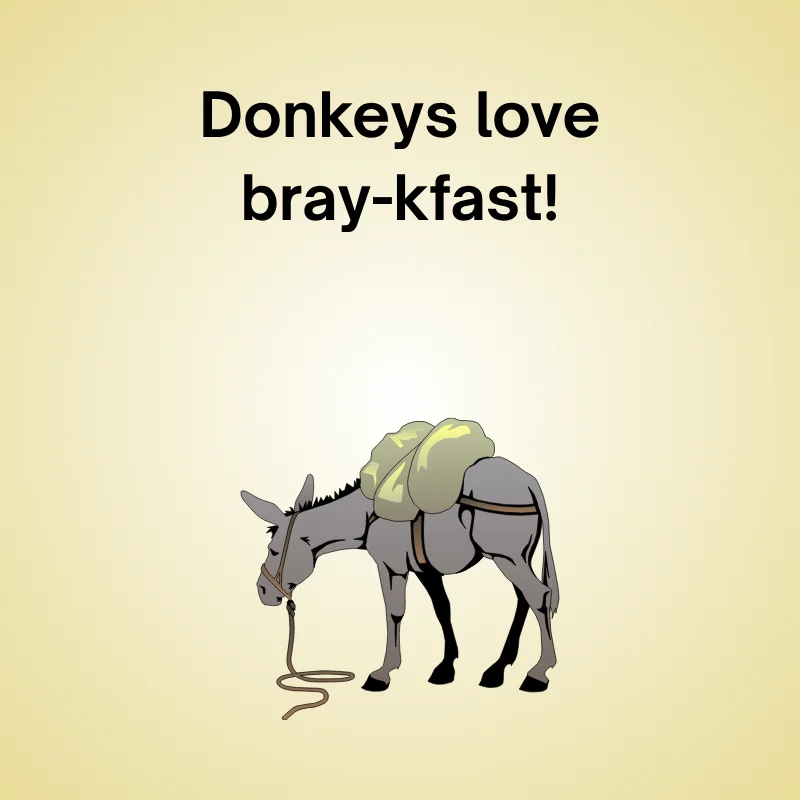 Illustration of donkey with funny caption: "Donkeys love bray-kfast!"