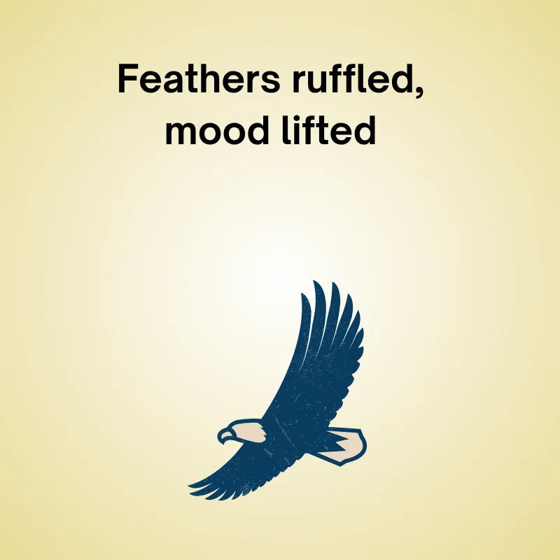 Funny eagle joke: 'Feathers ruffled, mood lifted.'