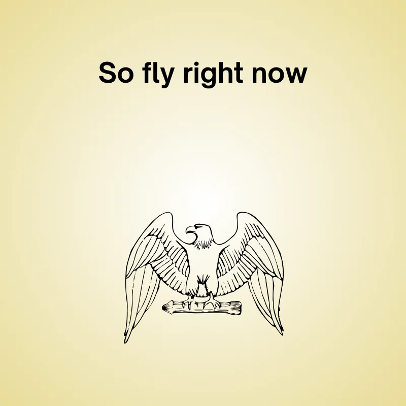 Illustration of eagle with caption: 'So fly right now.'