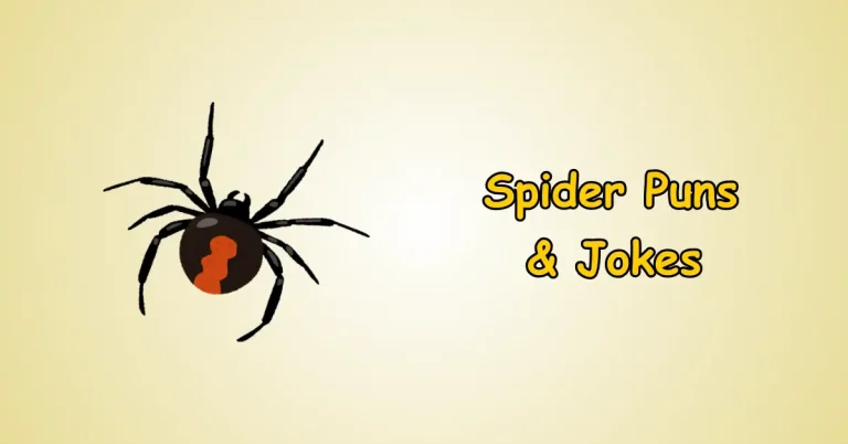 Spider Puns and Jokes