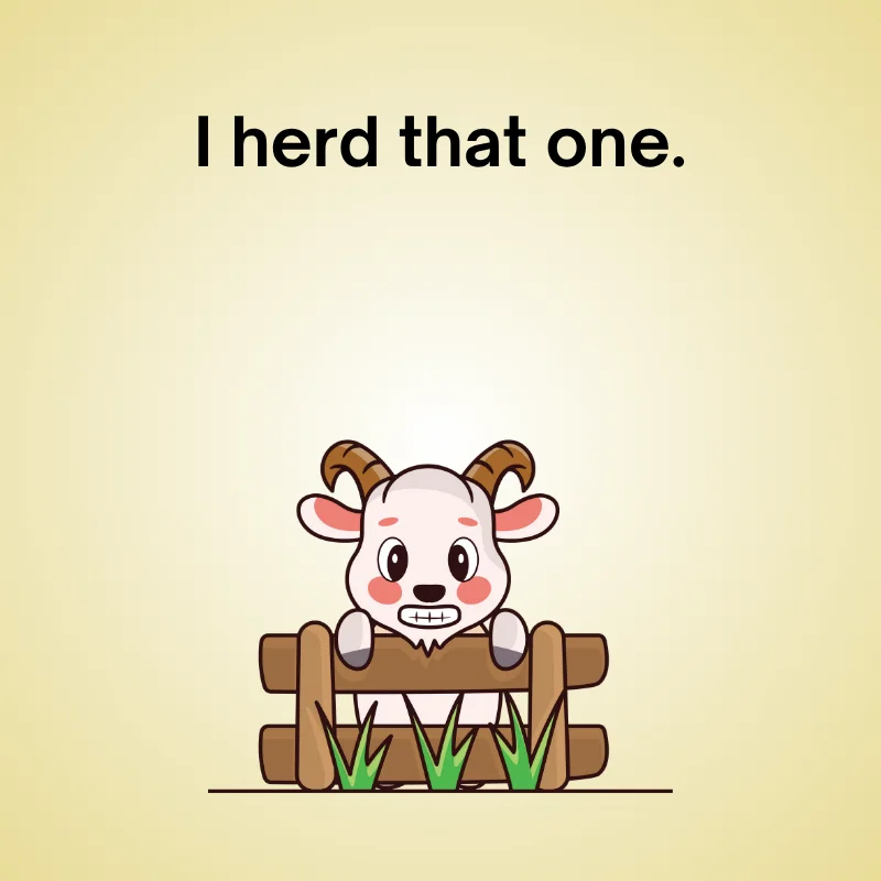 Funny goat joke: 'I herd that one.'