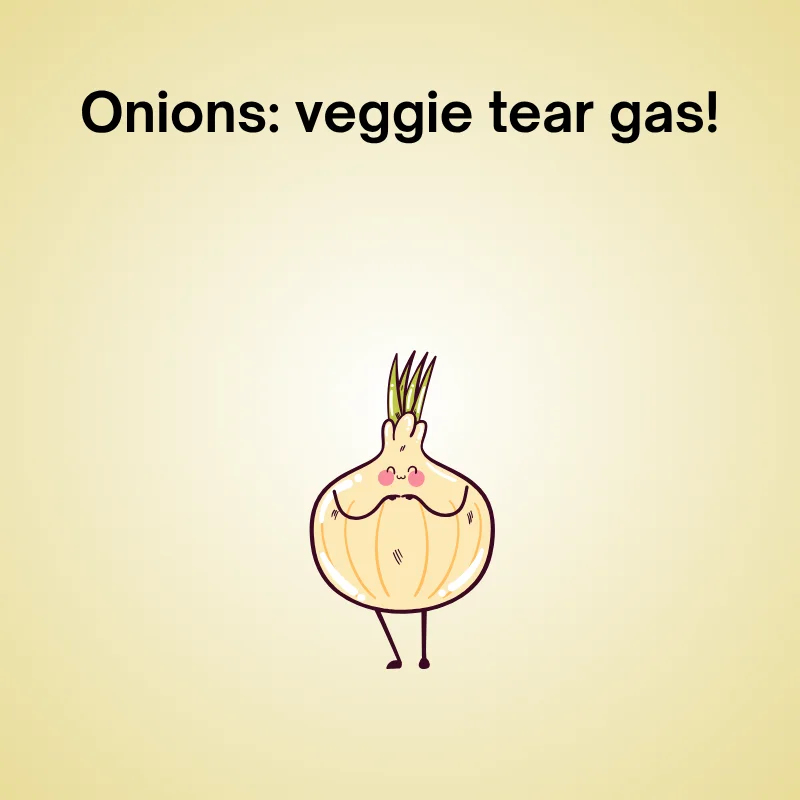 Illustration of onion with caption: "Onions: veggie tear gas!"