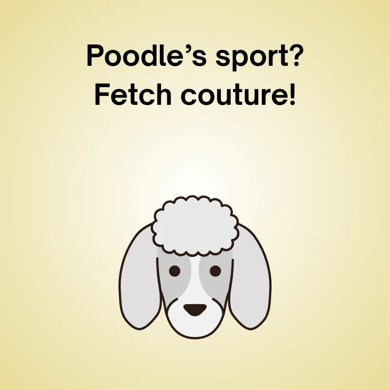 Poodle joke illustration: 'Poodle’s sport? Fetch couture!'