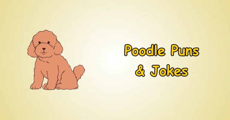 Poodle Puns and Jokes