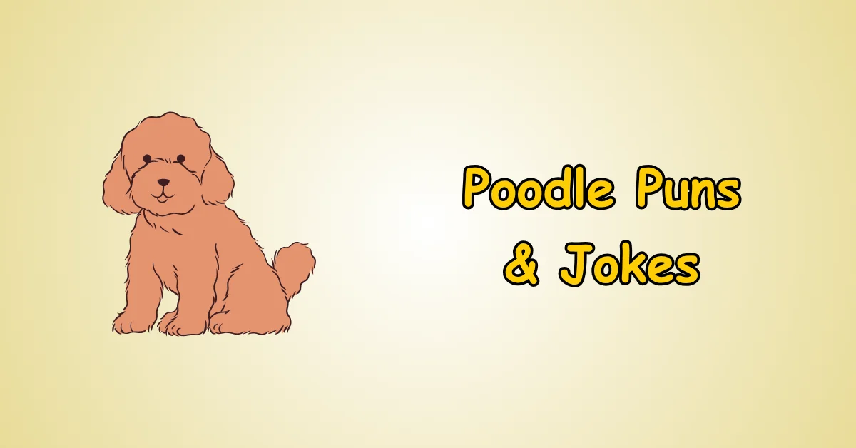 Poodle Puns and Jokes