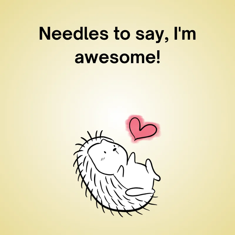 Porcupine pun illustration: 'Needles to say, I'm awesome.'