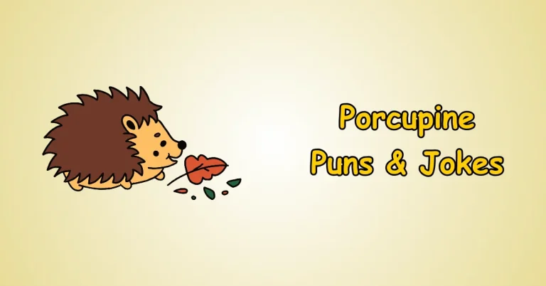 Porcupine Puns and Jokes