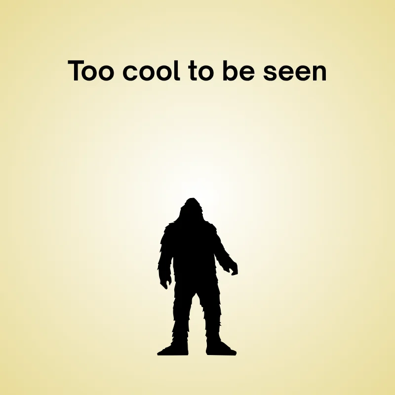 Illustration of yeti with caption: 'Too cool to be seen.'