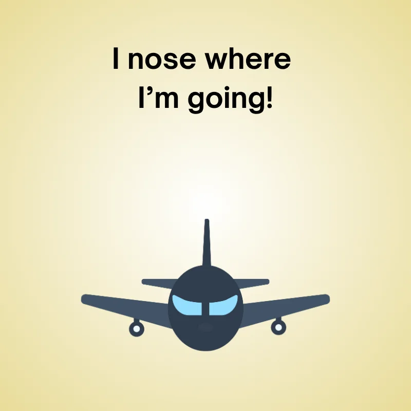 Airplane pun illustration: 'I nose where I’m going.'