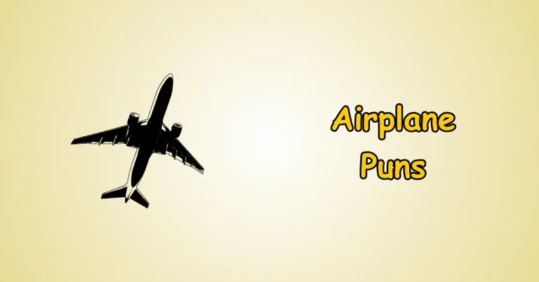 Airplane Puns