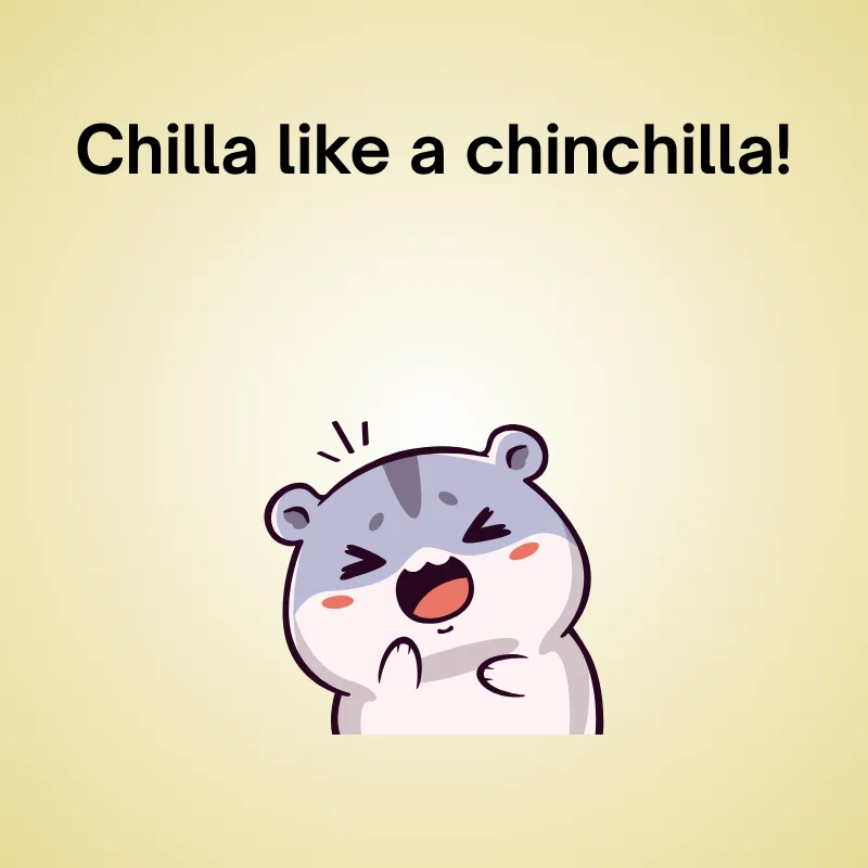 Adorable chinchilla cartoon with text 'Chilla like a chinchilla!'
