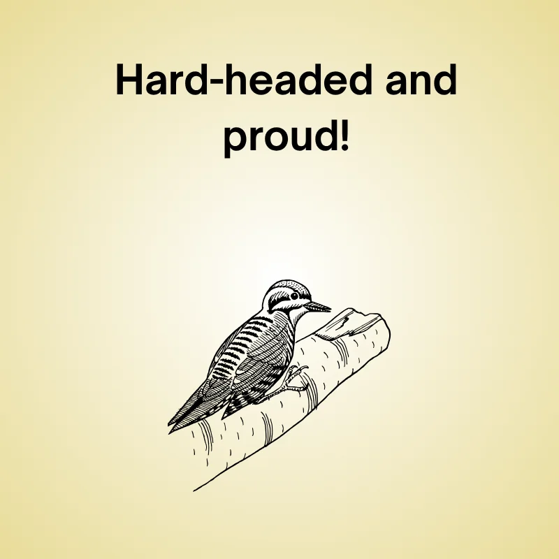 Charming woodpecker graphic with text 'Hard-headed and proud!'