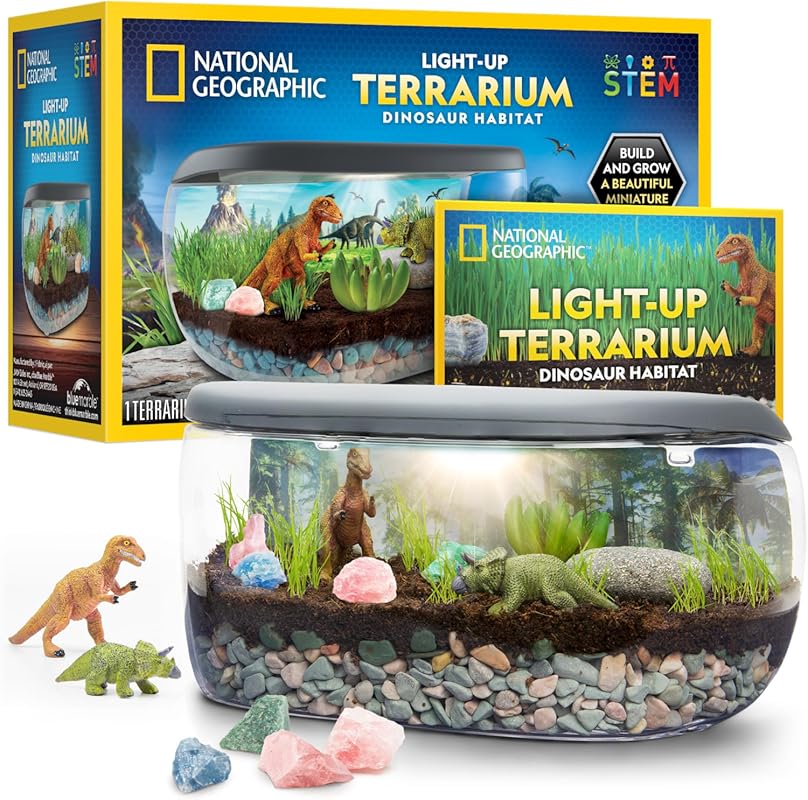 National Geographic Light Up Terrarium Kit with Real Plants and Gemsto