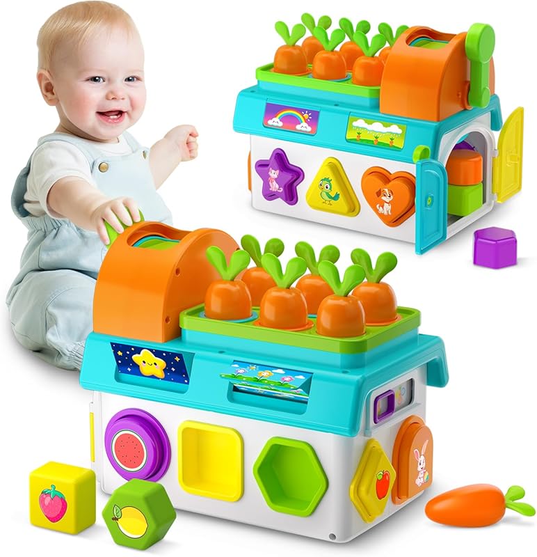 Montessori Shape Matching Educational Toy with Lights & Sound for Todd