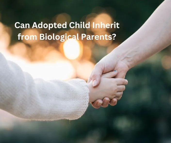 How Adoption Changes Inheritance Rights From Biological Parents for Can Adopted Child Inherit From Biological Parent Expla...