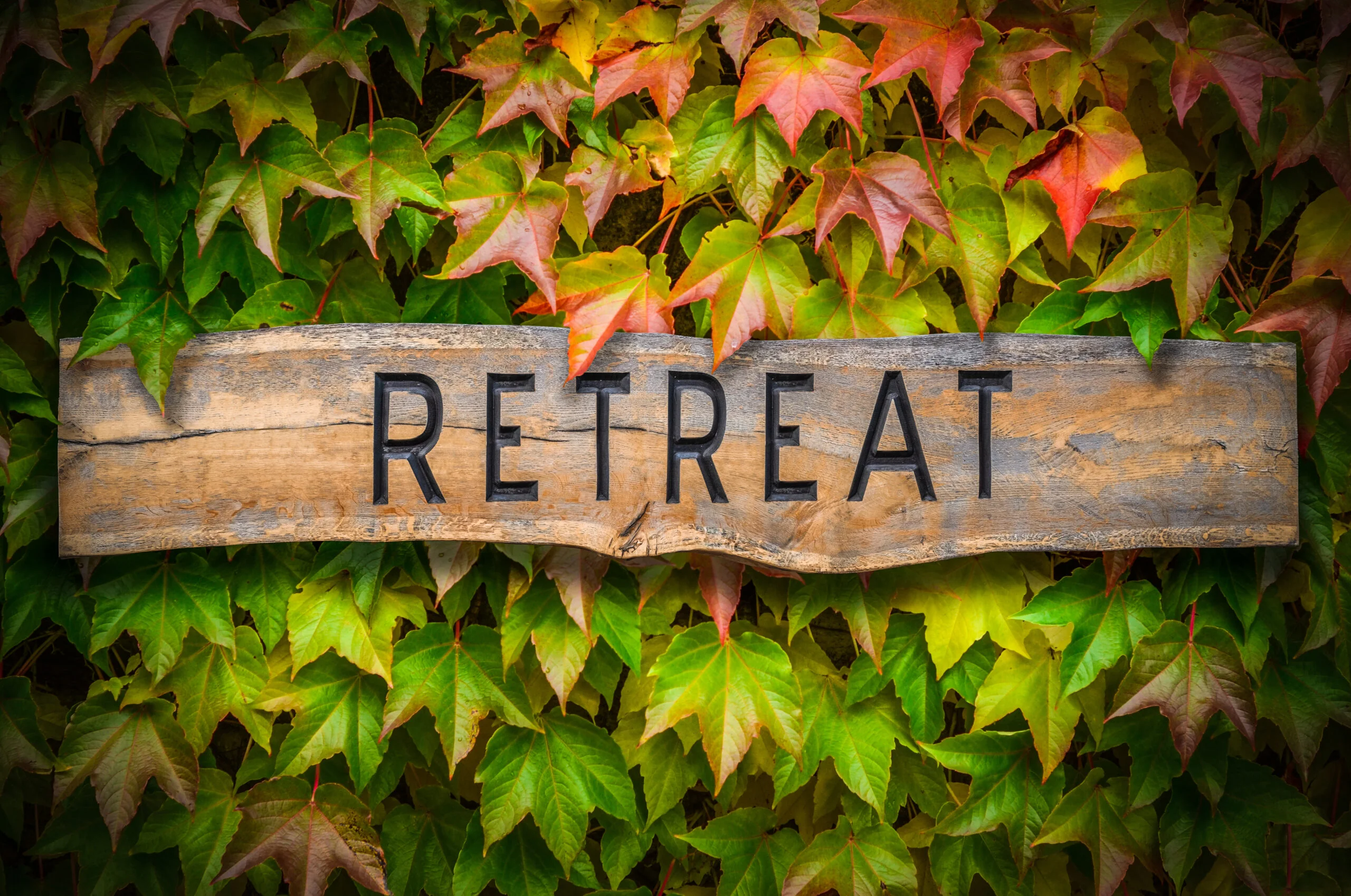 When Parents Should Attend a Retreat for Retreat Need to Attend Our Parents or Not Explained